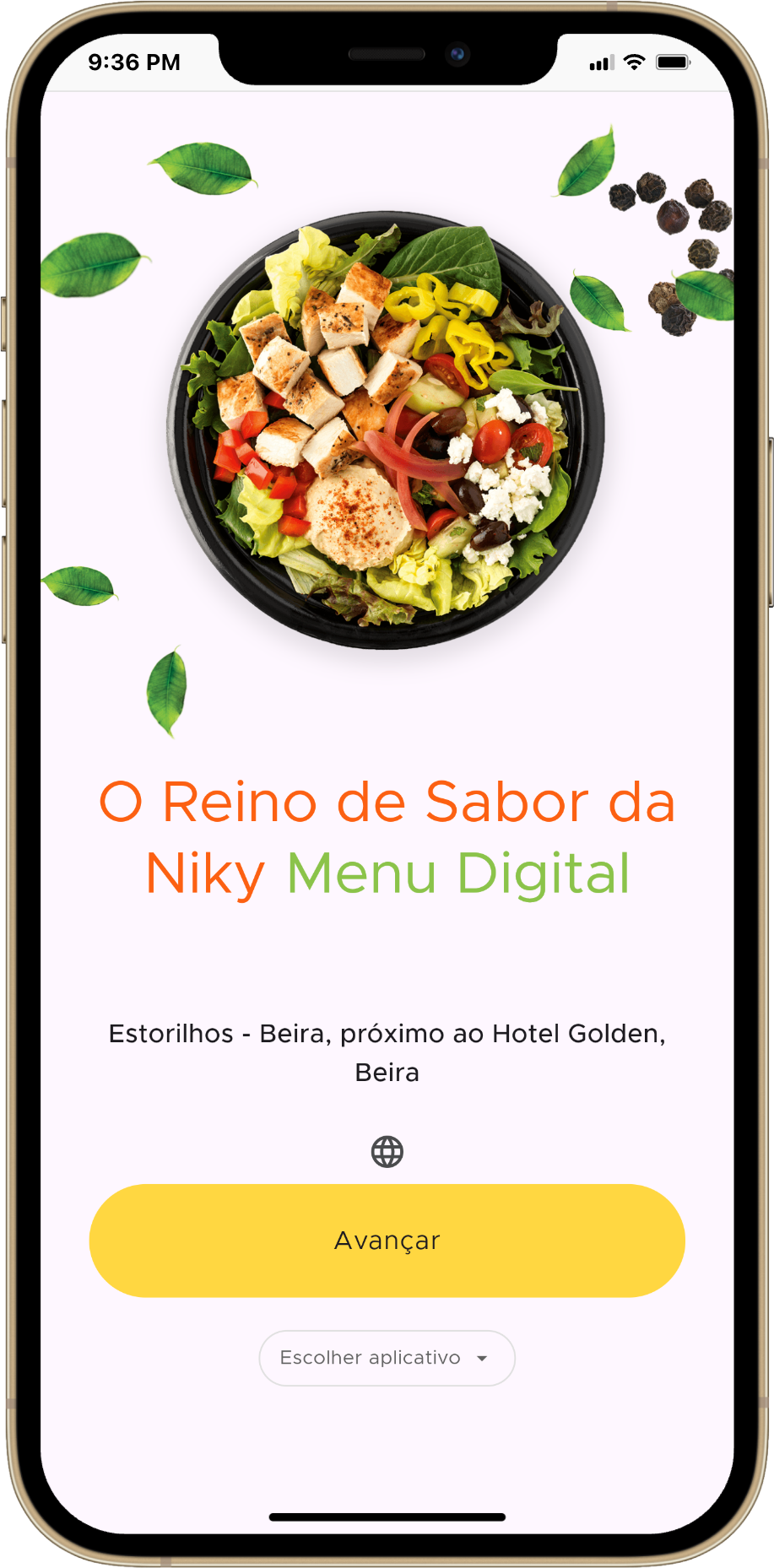 iPhone 12 Pro Max - App Manna Software